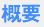 概要